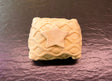 Beef Wellington 500g - Bromfields Online Butchers UK