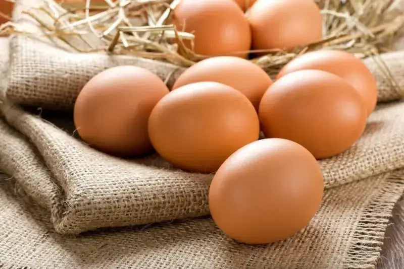 6 x Free Range Large Welsh Hens Eggs - Deli